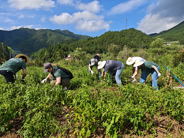 /crm/product/image/20250724/1753327595816064319.jpg 1753327595816064319.jpg