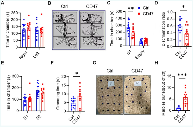 /crm/product/image/20250930/1759196378873079106.png 1759196378873079106.png